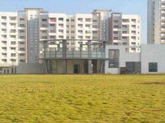 1 BHK Flat In Xrbia Eiffel City Phase 1 for Rent  In  Chakan