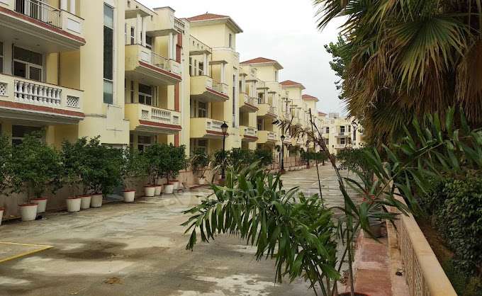 3 BHK Flat In Ss Almeria For Sale  In Sector 84