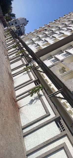 2 BHK Flat In Divain Dezzal for Rent  In Pimpri Chinchwad