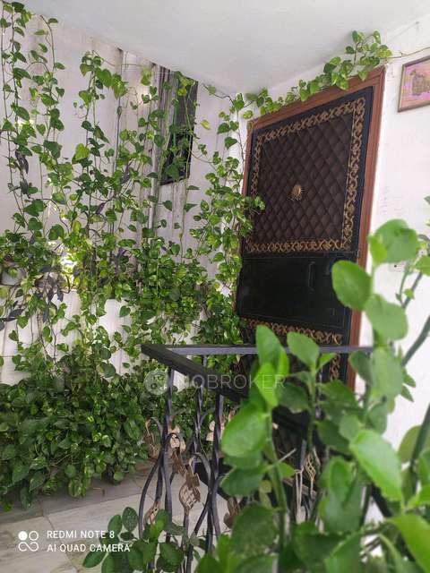 1 BHK Flat For Sale  In Janakpuri