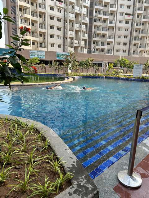 2 BHK Flat In Purva Silversands for Rent  In Mundhwa