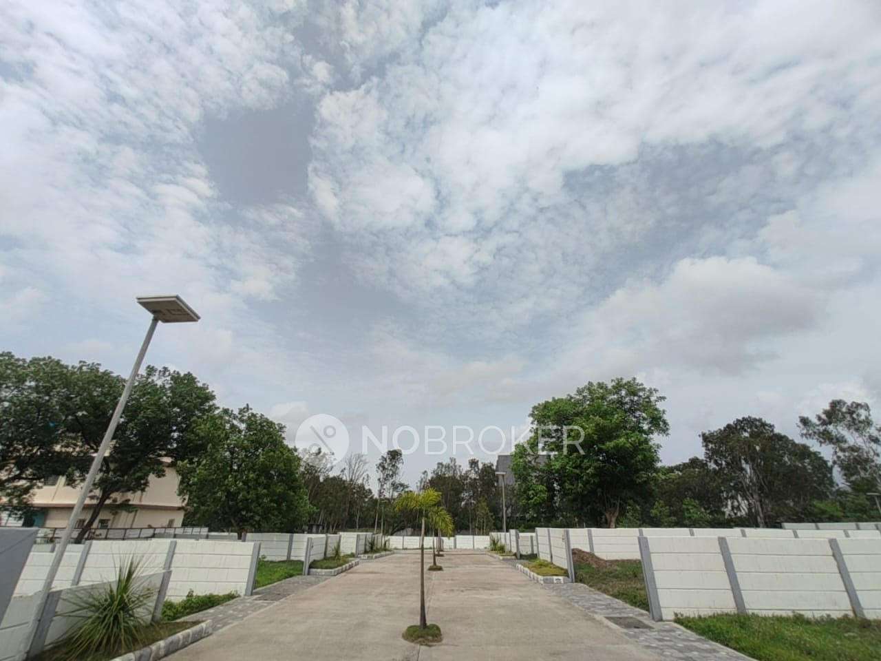 Plot For Sale  In Svb 9 Luxar State In Kanhe Phata