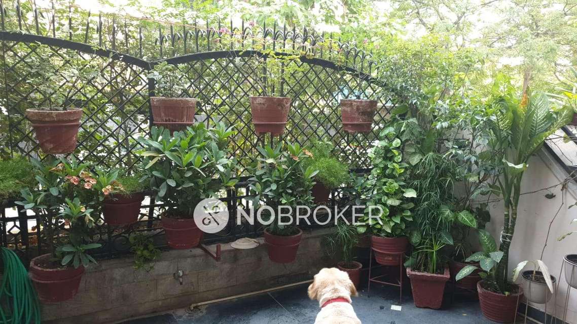 3 BHK Flat For Sale  In Sector 28