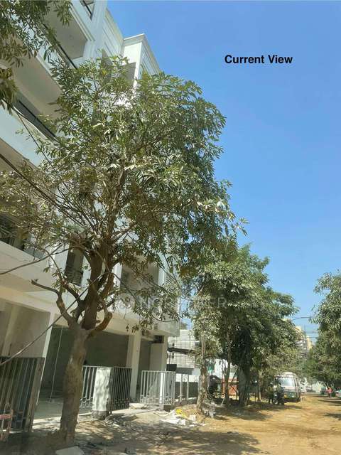 4 BHK Flat For Sale  In Sector 43