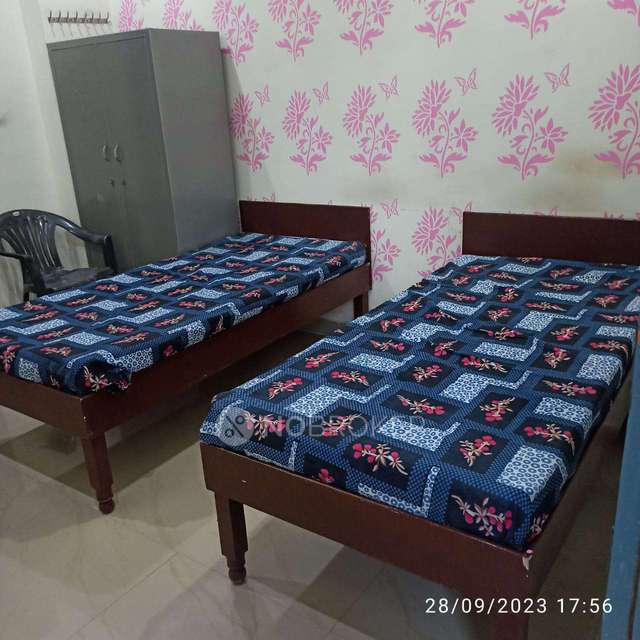 PG for Anyone in  Sector 59