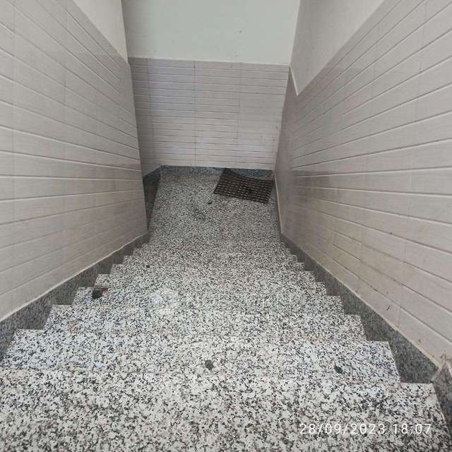 PG for Anyone in  Sector 59