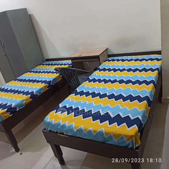 PG for Anyone in  Sector 59