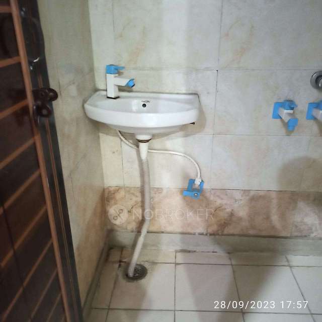 PG for Anyone in  Sector 59