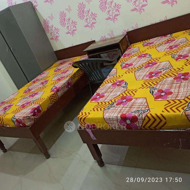 PG for Anyone in  Sector 59