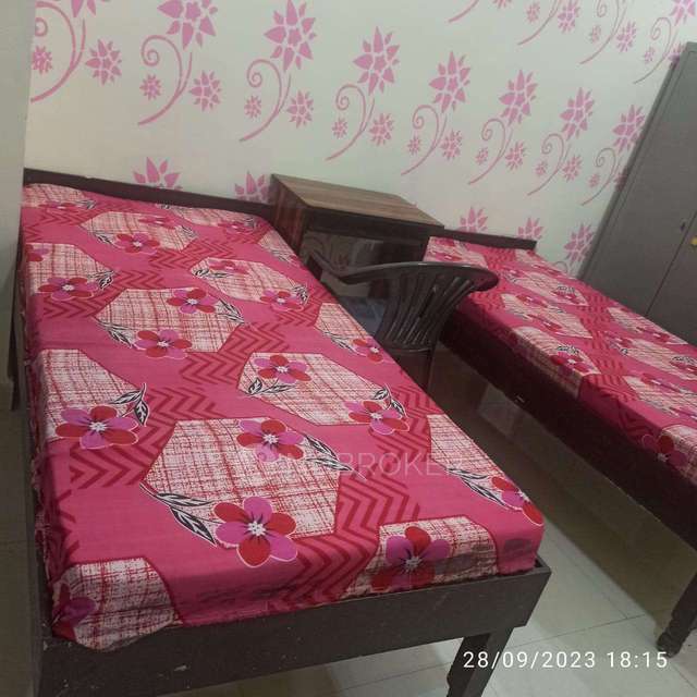 PG for Anyone in  Sector 59