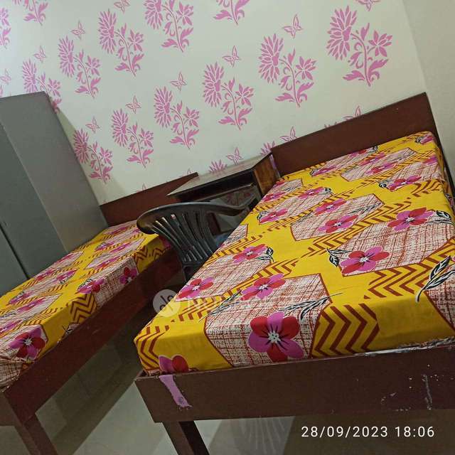 PG for Anyone in  Sector 59