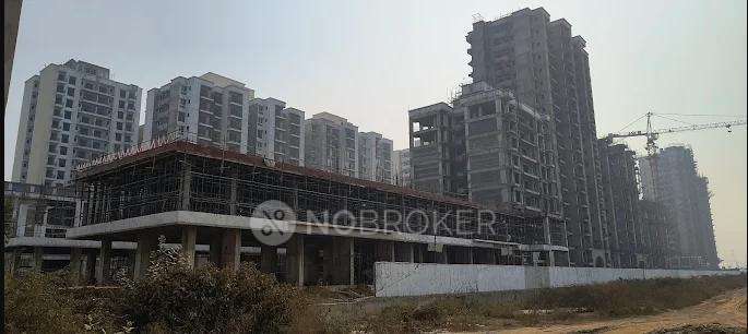 3 BHK Flat In De-luxe Dxp For Sale  In Sector 37d