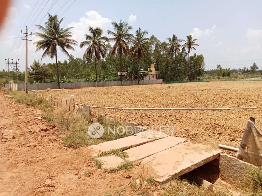 Godown/Warehouse in Hoskote, Bangalore for Rent 