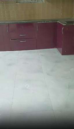 2 BHK Flat In Standalone Building  for Rent  In Bachupally
