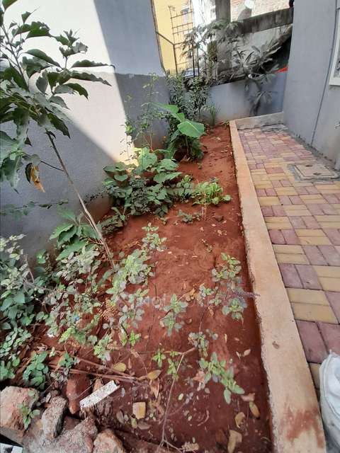 2 BHK House for Rent  In Ravet