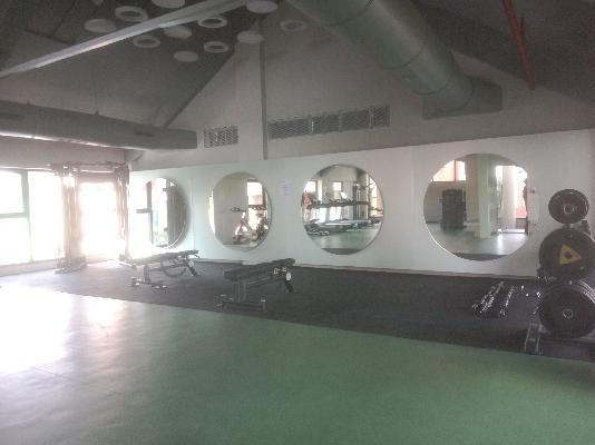 2 BHK Flat In Park Astra for Rent  In Hinjewadi