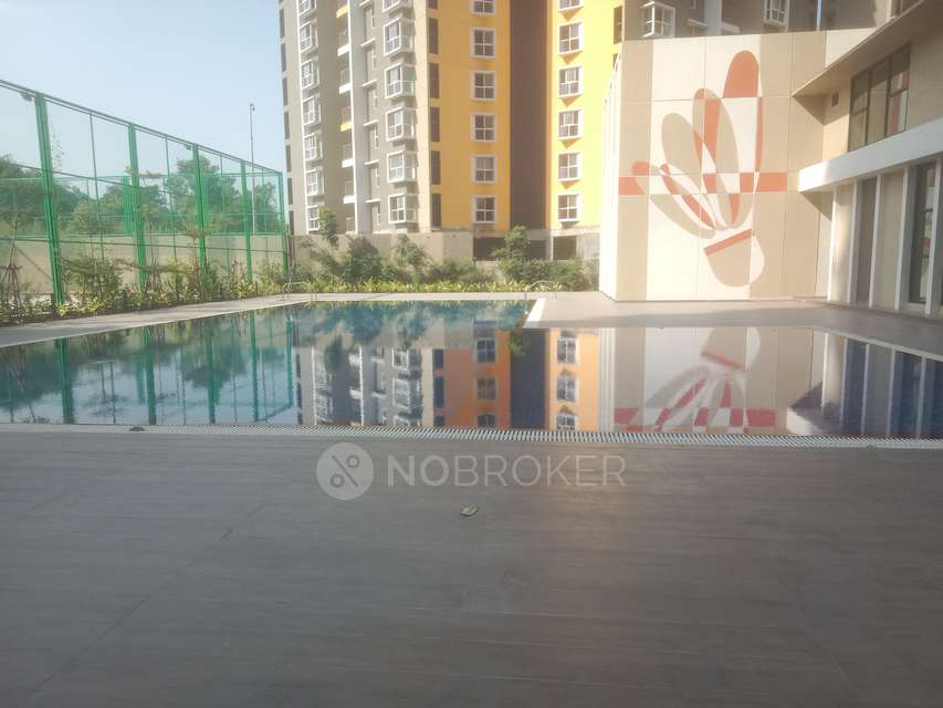 2 BHK Flat In Park Astra for Rent  In Hinjewadi