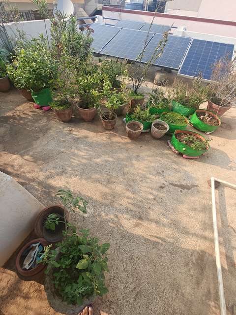 4 BHK House For Sale  In Ramamurthy Nagar