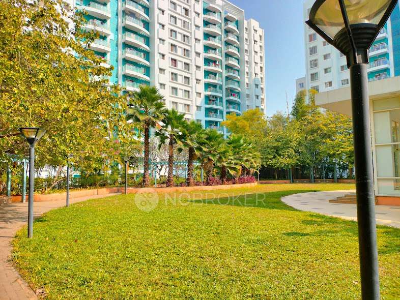2 BHK Flat In Megapolis Sunway, Hinjawadi for Rent  In Hinjawadi