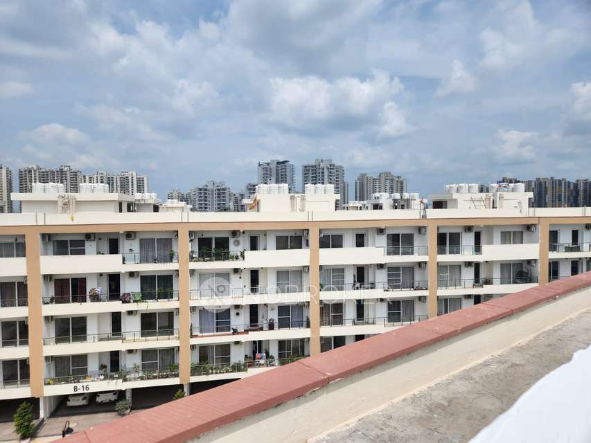 4 BHK Flat In Ss Linden for Rent  In Sector 85
