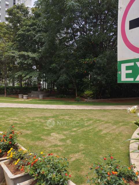 3 BHK Flat In Alembic Urban Forest For Sale  In Channasandra