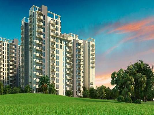 3 BHK Flat In Ireo The Corridors For Sale  In Sector 67a