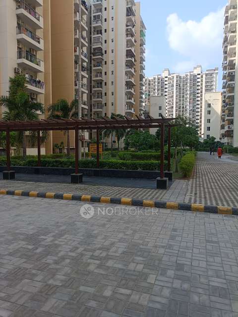 2 BHK Flat In Aditya Urban Casa For Sale  In Sector-78, Noida, Up
