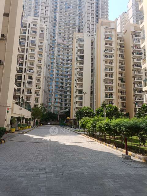 2 BHK Flat In Aditya Urban Casa For Sale  In Sector-78, Noida, Up