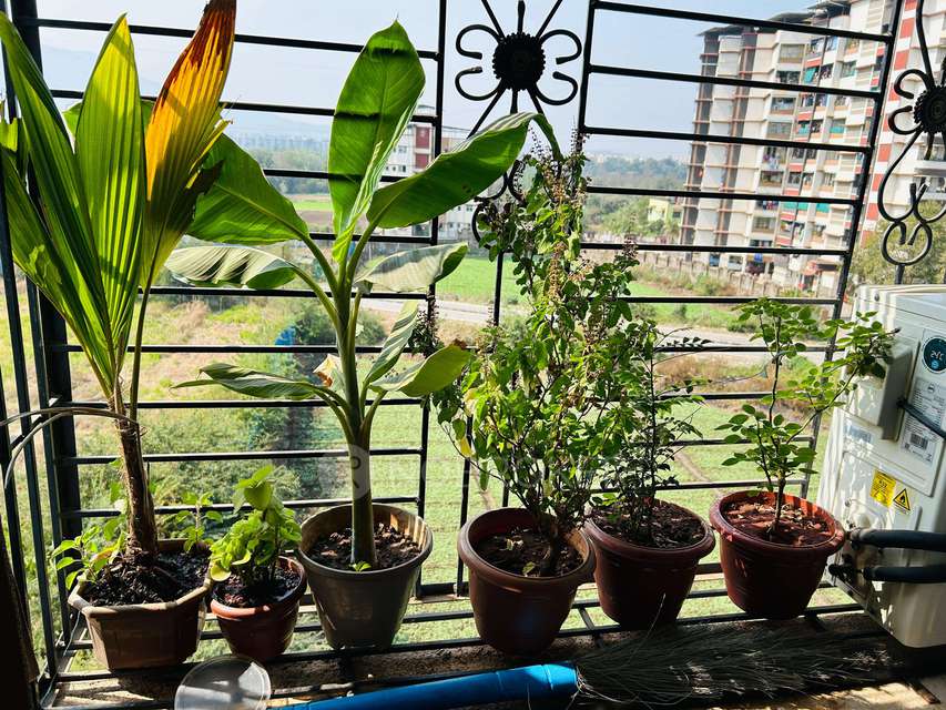 1 BHK Flat In Tathastu For Sale  In Badlapur