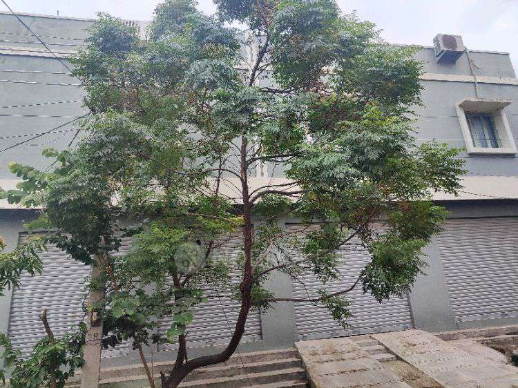 4+ BHK House For Sale  In Rameswara Banda