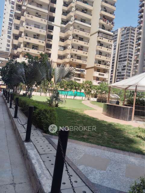 1 BHK Flat In Gaur City 2 for Rent  In 7021, 14th Ave, Gaur City 2, Noida, Chipyana Khurd Urf Tigri, Uttar Pradesh 201009, India