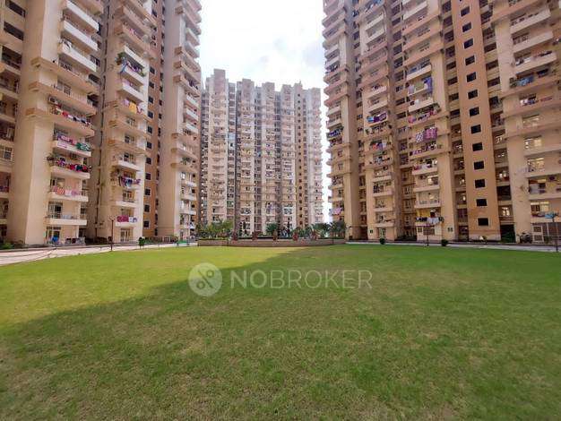 3 BHK Flat In Supertech Eco Village 2 For Sale  In Supertech Eco Village 2 Tower C3