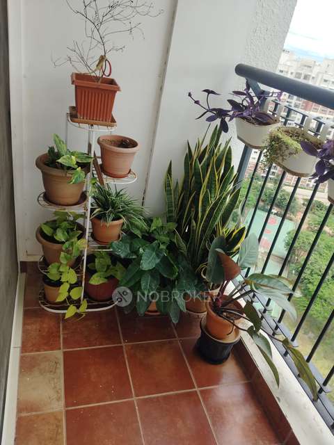 2 BHK Flat In Prestige Sunrise Park - Norwood For Sale  In Electronic City