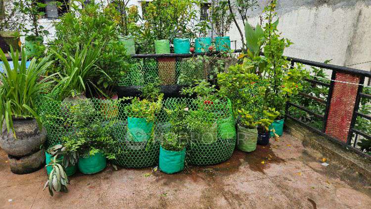 1 RK House for Rent  In 140698, Navbharat Society, ?????? ???, ?????, ????, ?????????? 411058, India