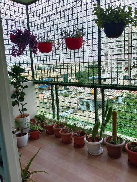 2 BHK Flat In  Mahaveer Chalet For Sale  In K R Puram