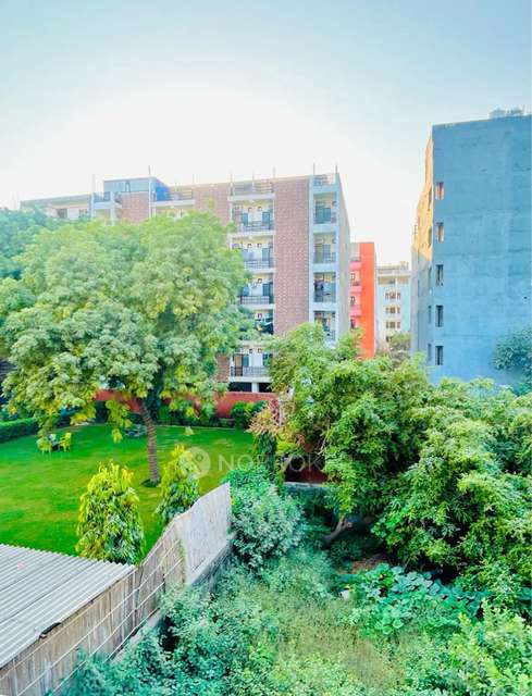 PG for Anyone in Palam Vihar Extension