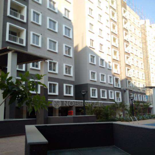 3 BHK Flat In Brigade Orchards For Sale  In Devanahalli