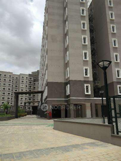 3 BHK Flat In Brigade Orchards For Sale  In Devanahalli