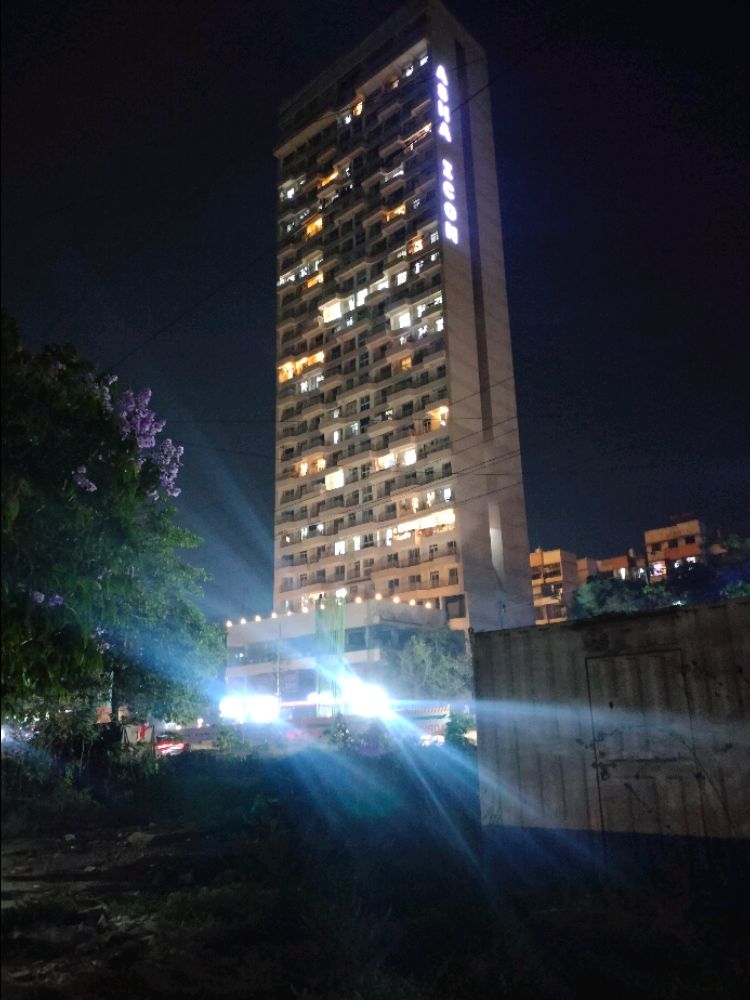 Asha Icon Live An Iconic Life