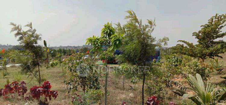 Plot For Sale  In Sandal Nest In Denkanikotta Rd