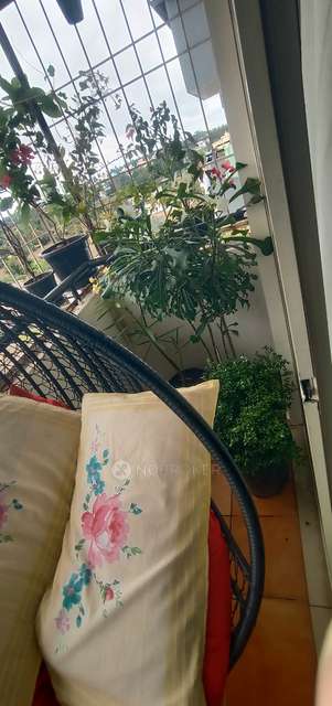 3 BHK Flat In Palm Groves For Sale  In Marsur