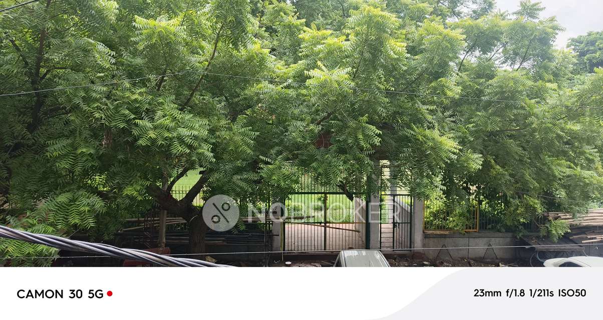 3 BHK Flat In Sb For Sale  In Vishnu Garden,