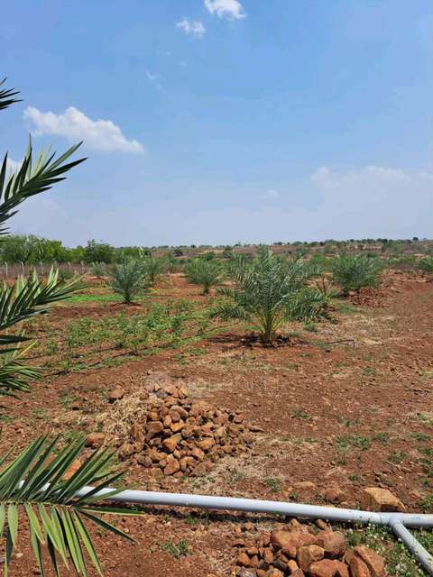 Plot For Sale  In Sampangi In 115, Road No. 36, Guttala_begumpet, Kavuri Hills, Madhapur, Hyderabad, Telangana 500033, India