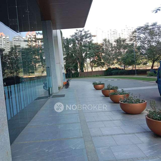 3 BHK Flat In Kalpataru Sunrise For Sale  In Thane West