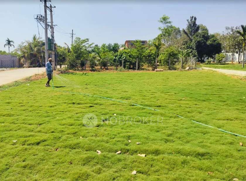 Plot For Sale  In Northville In Sarjapura