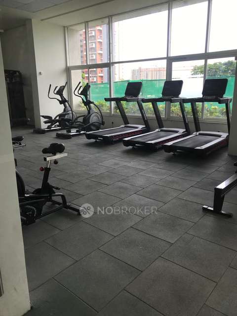 1 BHK Flat In Rohan Ananta , Tathawade For Sale  In Tathawade