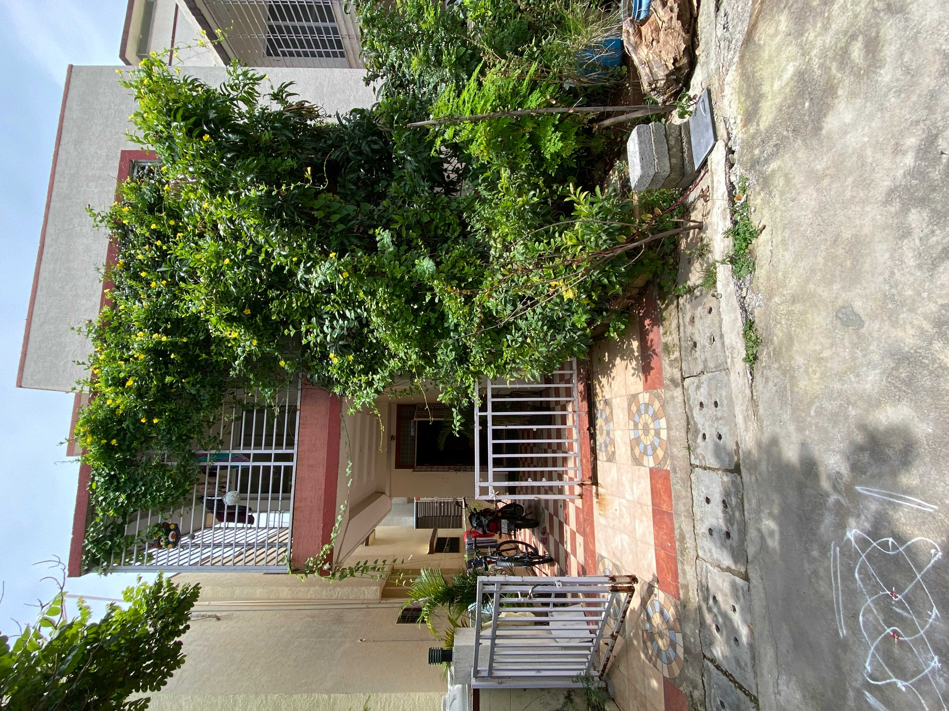 Safeway Symphony Park Homes