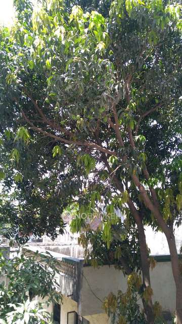 1 BHK Flat In Vaishnav Classic For Sale  In Pimple Nilakh