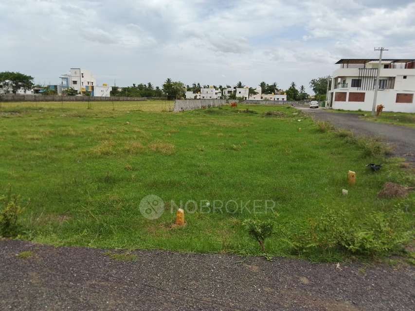 Plot For Sale  In Thiruninravur