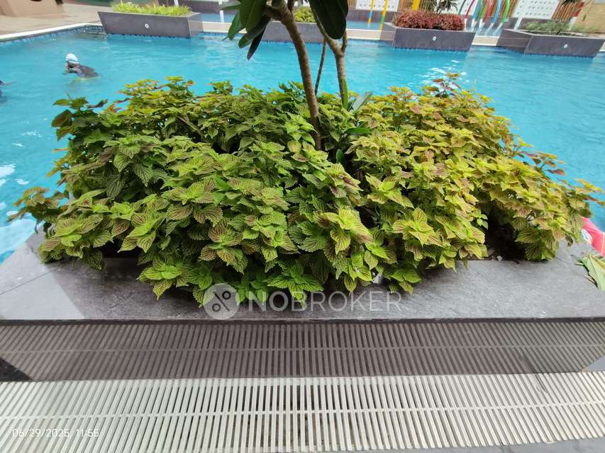 3 BHK Flat In Vtp Beaumonde Building T4 For Sale  In Manjari